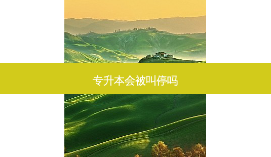 专升本会被叫停吗-第1张图片-天智网 专升本会被叫停吗-第1张图片-天智网