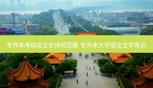 专升本考试语文古诗词范围 专升本大学语文文学常识-第1张图片-天智网 专升本考试语文古诗词范围 专升本大学语文文学常识-第1张图片-天智网