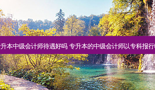 专升本中级会计师待遇好吗 专升本的中级会计师以专科报行吗-第1张图片-天智网 专升本中级会计师待遇好吗 专升本的中级会计师以专科报行吗-第1张图片-天智网