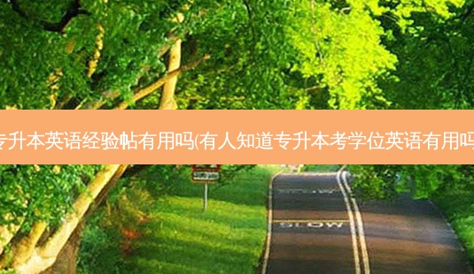 专升本英语经验帖有用吗(有人知道专升本考学位英语有用吗)-第1张图片-天智网 专升本英语经验帖有用吗(有人知道专升本考学位英语有用吗)-第1张图片-天智网
