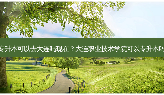 专升本可以去大连吗现在?大连职业技术学院可以专升本吗-第1张图片-天智网 专升本可以去大连吗现在?大连职业技术学院可以专升本吗-第1张图片-天智网