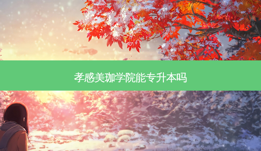 孝感美珈学院能专升本吗-第1张图片-天智网 孝感美珈学院能专升本吗-第1张图片-天智网
