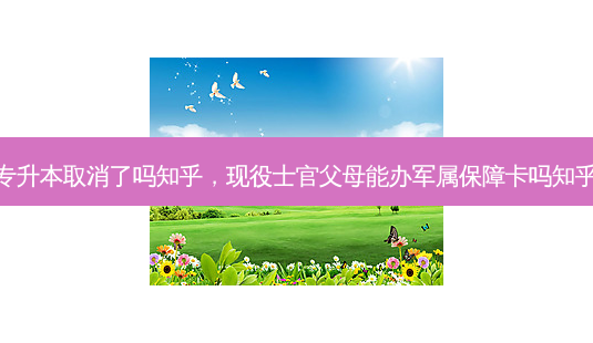 士官专升本取消了吗知乎,现役士官父母能办军属保障卡吗知乎全文-第1张图片-天智网 士官专升本取消了吗知乎,现役士官父母能办军属保障卡吗知乎全文-第1张图片-天智网