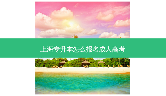 上海专升本怎么报名成人高考-第1张图片-天智网 上海专升本怎么报名成人高考-第1张图片-天智网