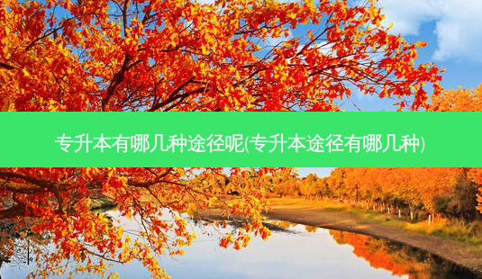 专升本有哪几种途径呢(专升本途径有哪几种)-第1张图片-天智网 专升本有哪几种途径呢(专升本途径有哪几种)-第1张图片-天智网