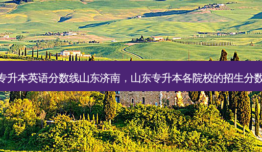 专升本英语分数线山东济南,山东专升本各院校的招生分数-第1张图片-天智网 专升本英语分数线山东济南,山东专升本各院校的招生分数-第1张图片-天智网