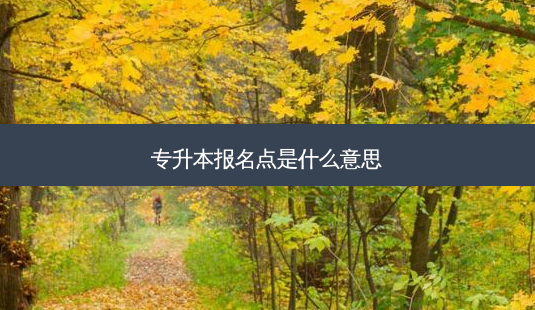 专升本报名点是什么意思-第1张图片-天智网 专升本报名点是什么意思-第1张图片-天智网