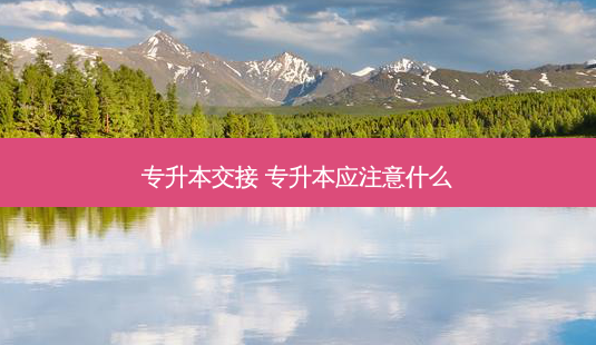 专升本交接 专升本应注意什么-第1张图片-天智网 专升本交接 专升本应注意什么-第1张图片-天智网