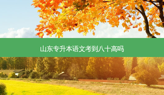 山东专升本语文考到八十高吗-第1张图片-天智网 山东专升本语文考到八十高吗-第1张图片-天智网