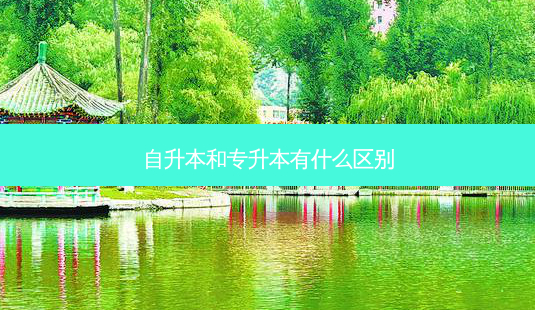 自升本和专升本有什么区别-第1张图片-天智网 自升本和专升本有什么区别-第1张图片-天智网