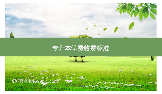 专升本学费收费标准-第1张图片-天智网 专升本学费收费标准-第1张图片-天智网