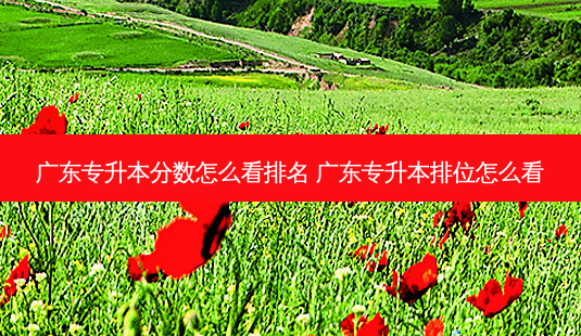 广东专升本分数怎么看排名 广东专升本排位怎么看-第1张图片-天智网 广东专升本分数怎么看排名 广东专升本排位怎么看-第1张图片-天智网