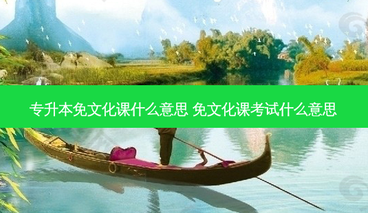 专升本免文化课什么意思 免文化课考试什么意思-第1张图片-天智网 专升本免文化课什么意思 免文化课考试什么意思-第1张图片-天智网