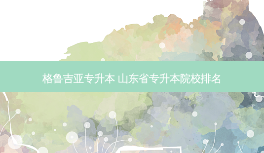 格鲁吉亚专升本 山东省专升本院校排名-第1张图片-天智网 格鲁吉亚专升本 山东省专升本院校排名-第1张图片-天智网