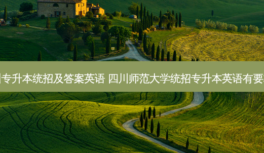 四川专升本统招及答案英语 四川师范大学统招专升本英语有要求吗-第1张图片-天智网 四川专升本统招及答案英语 四川师范大学统招专升本英语有要求吗-第1张图片-天智网
