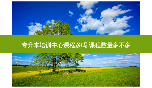专升本培训中心课程多吗 课程数量多不多-第1张图片-天智网 专升本培训中心课程多吗 课程数量多不多-第1张图片-天智网