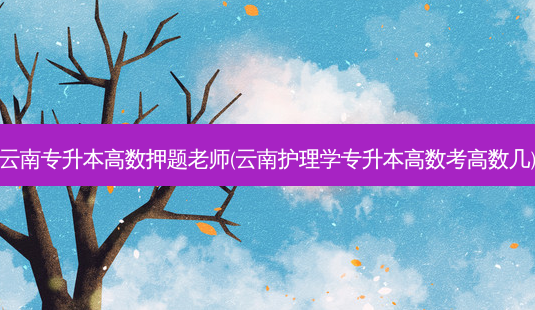 云南专升本高数押题老师(云南护理学专升本高数考高数几)-第1张图片-天智网 云南专升本高数押题老师(云南护理学专升本高数考高数几)-第1张图片-天智网