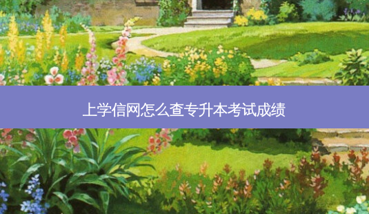 上学信网怎么查专升本考试成绩-第1张图片-天智网 上学信网怎么查专升本考试成绩-第1张图片-天智网