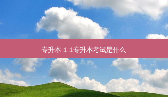 专升本 1 1专升本考试是什么-第1张图片-天智网 专升本 1 1专升本考试是什么-第1张图片-天智网