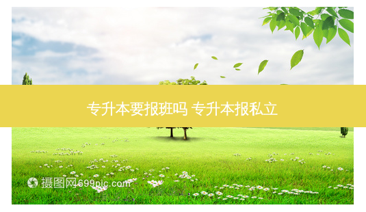 专升本要报班吗 专升本报私立-第1张图片-天智网 专升本要报班吗 专升本报私立-第1张图片-天智网