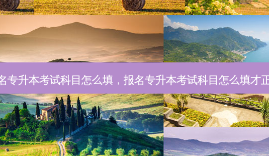 报名专升本考试科目怎么填,报名专升本考试科目怎么填才正确-第1张图片-天智网 报名专升本考试科目怎么填,报名专升本考试科目怎么填才正确-第1张图片-天智网