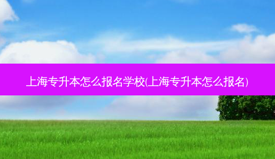 上海专升本怎么报名学校(上海专升本怎么报名)-第1张图片-天智网 上海专升本怎么报名学校(上海专升本怎么报名)-第1张图片-天智网