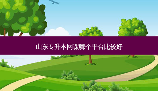 山东专升本网课哪个平台比较好-第1张图片-天智网 山东专升本网课哪个平台比较好-第1张图片-天智网