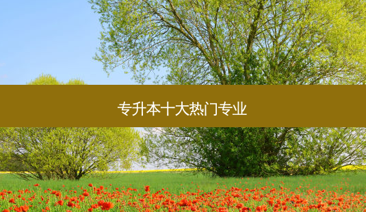 专升本十大热门专业-第1张图片-天智网 专升本十大热门专业-第1张图片-天智网