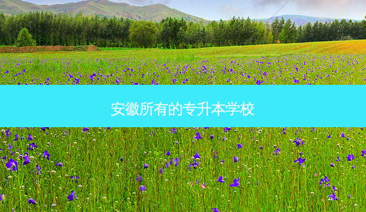 安徽所有的专升本学校-第1张图片-天智网 安徽所有的专升本学校-第1张图片-天智网
