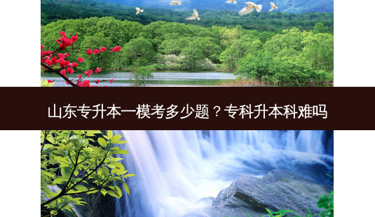 山东专升本一模考多少题?专科升本科难吗-第1张图片-天智网 山东专升本一模考多少题?专科升本科难吗-第1张图片-天智网