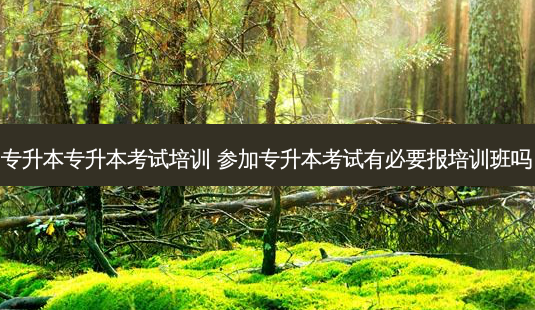 专升本专升本考试培训 参加专升本考试有必要报培训班吗-第1张图片-天智网 专升本专升本考试培训 参加专升本考试有必要报培训班吗-第1张图片-天智网