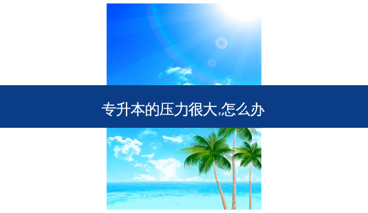 专升本的压力很大,怎么办-第1张图片-天智网 专升本的压力很大,怎么办-第1张图片-天智网