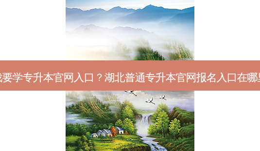 我要学专升本官网入口?湖北普通专升本官网报名入口在哪里-第1张图片-天智网 我要学专升本官网入口?湖北普通专升本官网报名入口在哪里-第1张图片-天智网