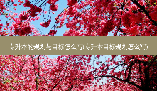 专升本的规划与目标怎么写(专升本目标规划怎么写)-第1张图片-天智网 专升本的规划与目标怎么写(专升本目标规划怎么写)-第1张图片-天智网