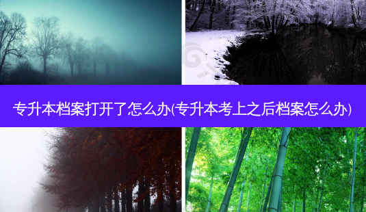 专升本档案打开了怎么办(专升本考上之后档案怎么办)-第1张图片-天智网 专升本档案打开了怎么办(专升本考上之后档案怎么办)-第1张图片-天智网