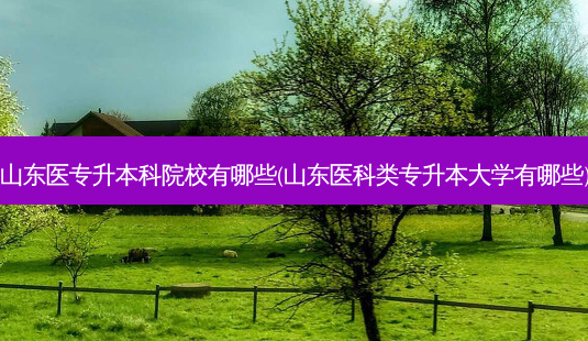 山东医专升本科院校有哪些(山东医科类专升本大学有哪些)-第1张图片-天智网 山东医专升本科院校有哪些(山东医科类专升本大学有哪些)-第1张图片-天智网