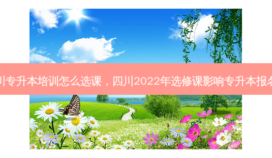 四川专升本培训怎么选课，四川2022年选修课影响专升本报名吗-第1张图片-汇成专升本网