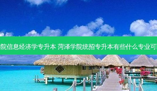 菏泽学院信息经济学专升本 菏泽学院统招专升本有些什么专业可以报考-第1张图片-天智网 菏泽学院信息经济学专升本 菏泽学院统招专升本有些什么专业可以报考-第1张图片-天智网
