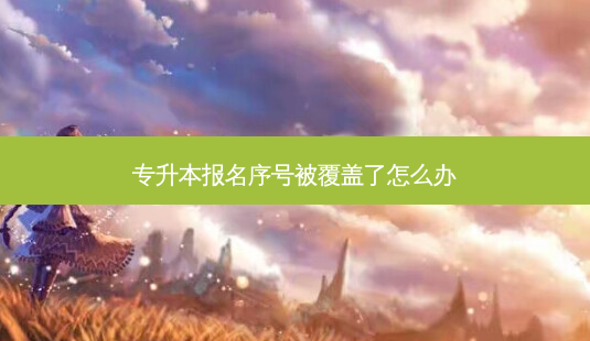 专升本报名序号被覆盖了怎么办-第1张图片-天智网 专升本报名序号被覆盖了怎么办-第1张图片-天智网