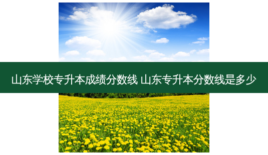 山东学校专升本成绩分数线 山东专升本分数线是多少-第1张图片-天智网 山东学校专升本成绩分数线 山东专升本分数线是多少-第1张图片-天智网