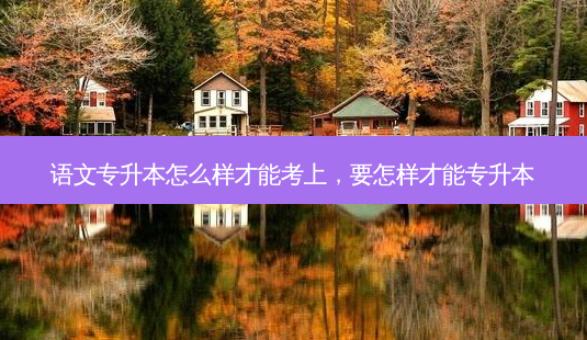 语文专升本怎么样才能考上,要怎样才能专升本-第1张图片-天智网 语文专升本怎么样才能考上,要怎样才能专升本-第1张图片-天智网