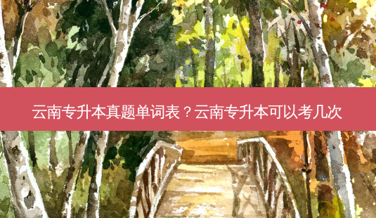 云南专升本真题单词表?云南专升本可以考几次-第1张图片-天智网 云南专升本真题单词表?云南专升本可以考几次-第1张图片-天智网