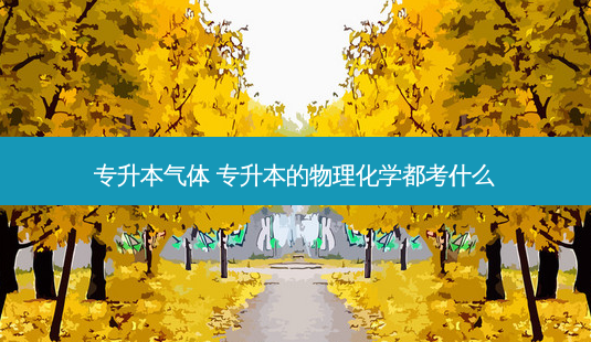 专升本气体 专升本的物理化学都考什么-第1张图片-天智网 专升本气体 专升本的物理化学都考什么-第1张图片-天智网