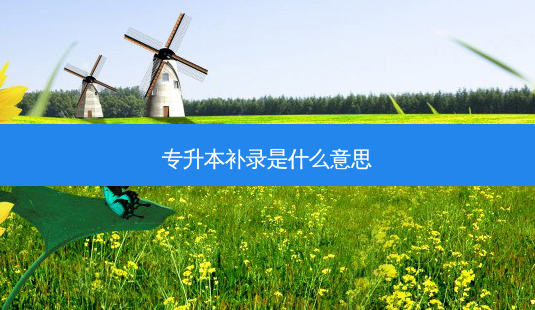 专升本补录是什么意思-第1张图片-天智网 专升本补录是什么意思-第1张图片-天智网