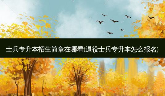 士兵专升本招生简章在哪看(退役士兵专升本怎么报名)-第1张图片-天智网 士兵专升本招生简章在哪看(退役士兵专升本怎么报名)-第1张图片-天智网