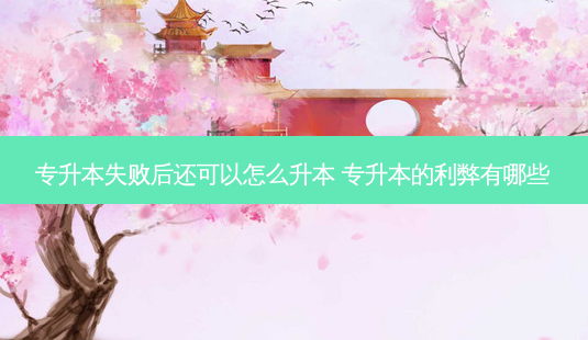 专升本失败后还可以怎么升本 专升本的利弊有哪些-第1张图片-天智网 专升本失败后还可以怎么升本 专升本的利弊有哪些-第1张图片-天智网