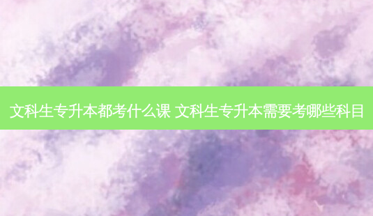 文科生专升本都考什么课 文科生专升本需要考哪些科目-第1张图片-天智网 文科生专升本都考什么课 文科生专升本需要考哪些科目-第1张图片-天智网