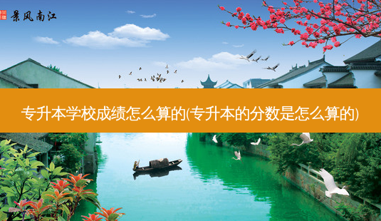 专升本学校成绩怎么算的(专升本的分数是怎么算的)-第1张图片-天智网 专升本学校成绩怎么算的(专升本的分数是怎么算的)-第1张图片-天智网
