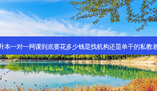 专升本一对一网课到底要花多少钱是找机构还是单干的私教老师-第1张图片-天智网 专升本一对一网课到底要花多少钱是找机构还是单干的私教老师-第1张图片-天智网