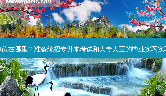 统招专升本实习单位在哪里?准备统招专升本考试和大专大三的毕业实习实习是否能同时进行-第1张图片-天智网 统招专升本实习单位在哪里?准备统招专升本考试和大专大三的毕业实习实习是否能同时进行-第1张图片-天智网